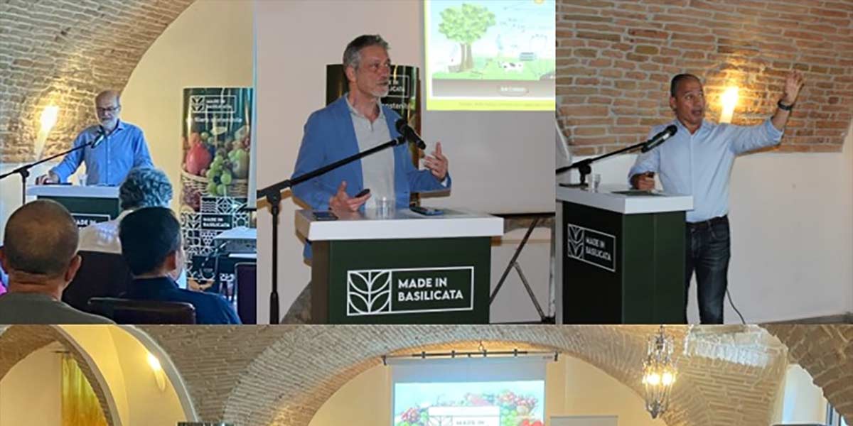 Made in Basilicata, presentati i risultati del triennio